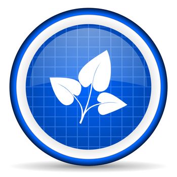 eco blue glossy icon on white background
