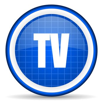 tv blue glossy icon on white background