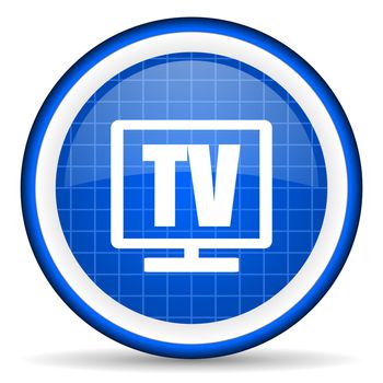 tv blue glossy icon on white background