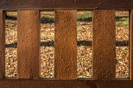 Wet wooden bench back three boards rain drops