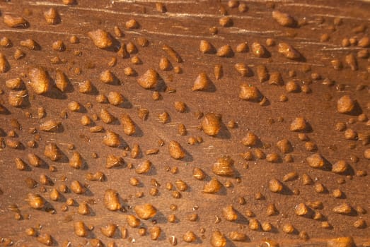 Wet wooden varnished board rain drops as background