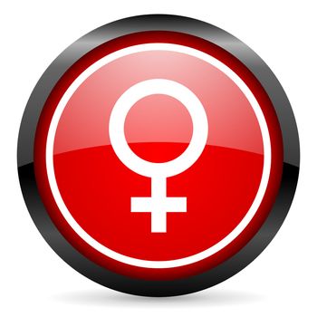 sex round red glossy icon on white background