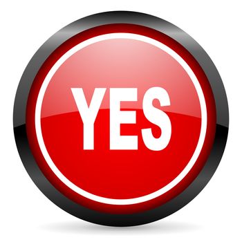 yes round red glossy icon on white background