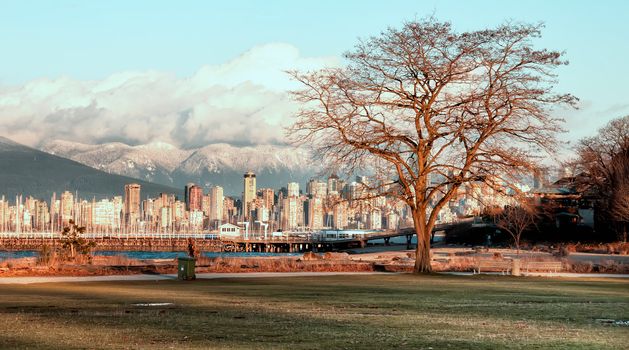 Bare tree with no leaves and Vancouver city skyline at sunset
