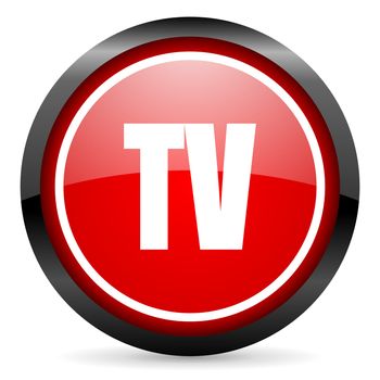tv round red glossy icon on white background