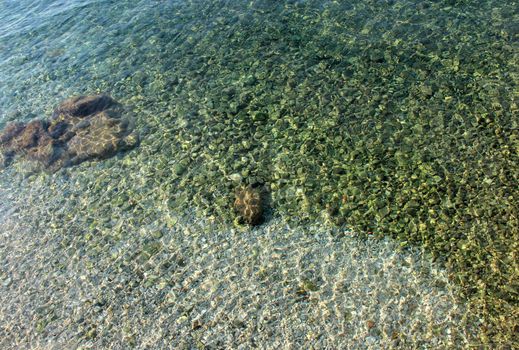 Clear Adriatic sea water