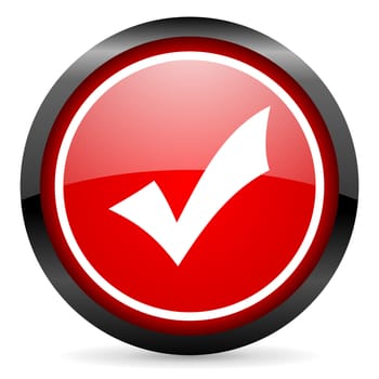 accept round red glossy icon on white background