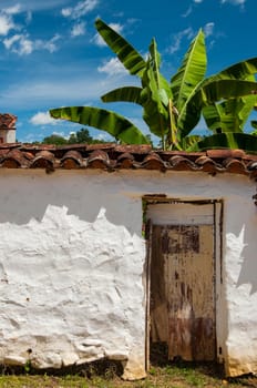 Old colonial white wall with blue sky and banana tree