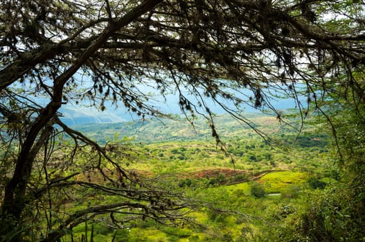 View of a valley with tree branches in the foreground