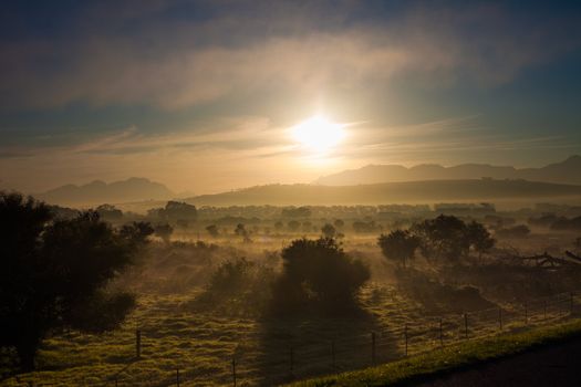 Fields at dawn near Cape Town, South Africa