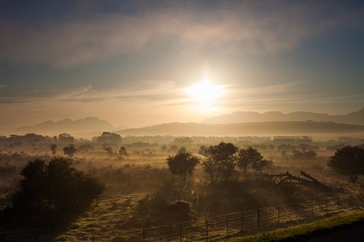 Fields at dawn near Cape Town, South Africa