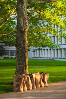 Row of recycling yard waste paper bags