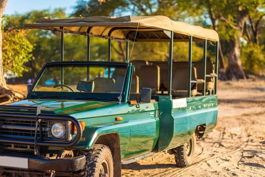 Canvas-roofed safari vehicles ready for a game drive