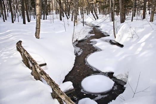 A morning winter stream in the forest covered in snow.