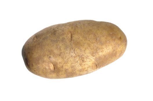 Closeup of brown russet potato isolated on white