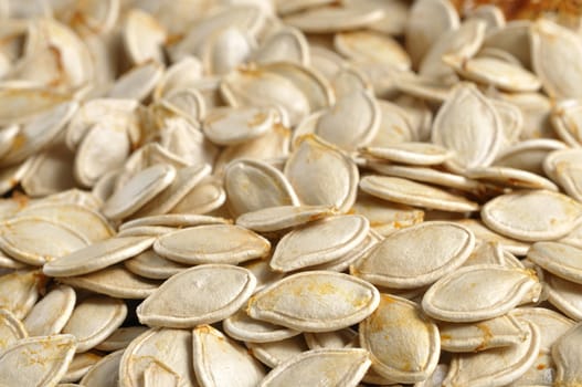 Macro closeup of pile of fresh extracted pumpkin seeds