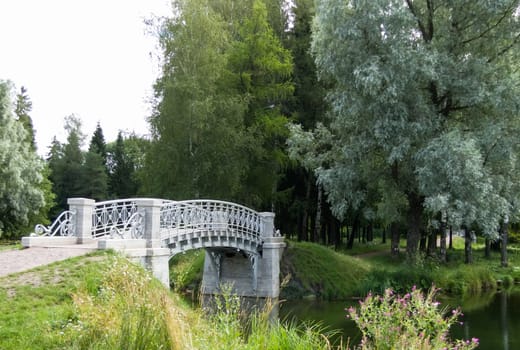 bridge over the river in the park