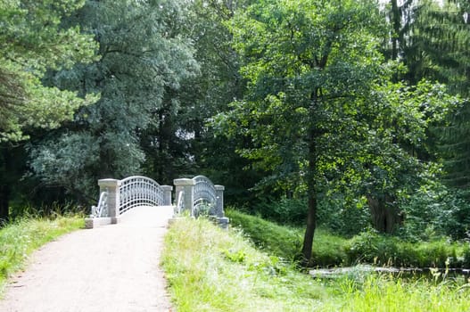 bridge over the river in the park