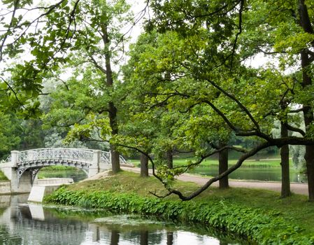 bridge over the river in the park