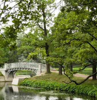 bridge over the river in the park