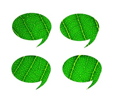 bubble talk tag green leaf on white background