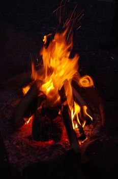 a nice campfire burning outside in summer