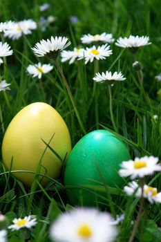 colorful Easter egg in the fresh  spring meadow