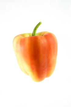 Colorful pepper