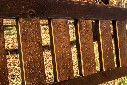 Wet wooden bench back three boards rain drops perspective view