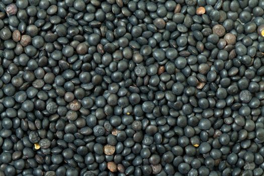 Backdrop of Black Lentil, closeup