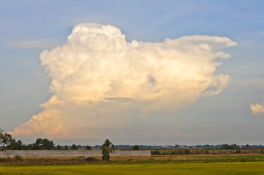 Beautiful green field and white clouds in blue sky background at Pathumtanee, Thailand