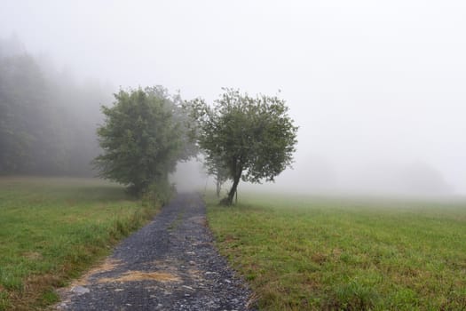 Shot of the misty landscape - meadow and country road