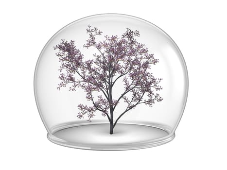 Flowering tree inside glass bowl, concept of environmental protection and conservation, isolated on white background