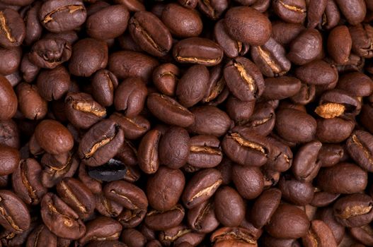 Background of Perfect Coffee Beans close up