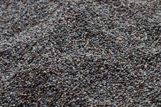 Background of Perfect Blue Poppy Seeds close up