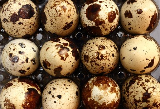 bunch of quail eggs forming a pattern 