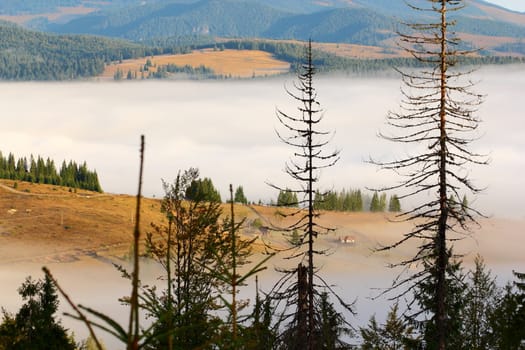 foggy morning up in the mountains at sunset