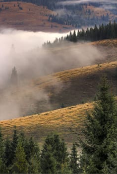 morning mist invading the lower part of the mountains at dawn