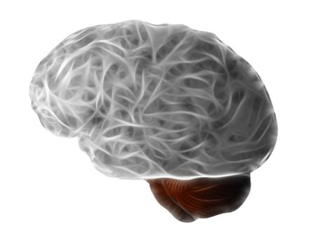 Abstract illustration of the human brain - cerebrum - grey matter
