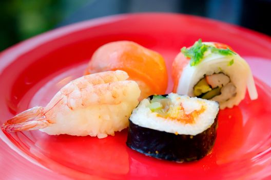 Traditional Japanese  style food , sushi and sushi rolls