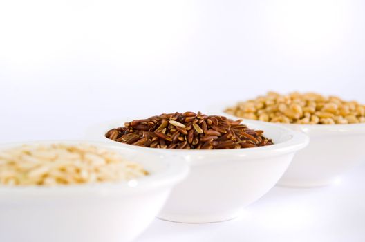 different grains ,  rice , red rice , wheat in bowl