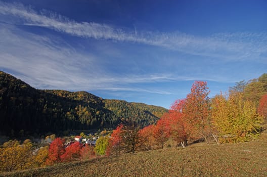 Rural scene in the autumn
