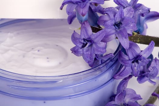 Cream in a box and a delicate hyacinth