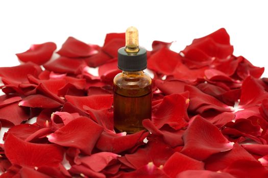 Massage oil from rose petals close up