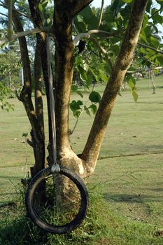 swing made from tires depends upon a tree