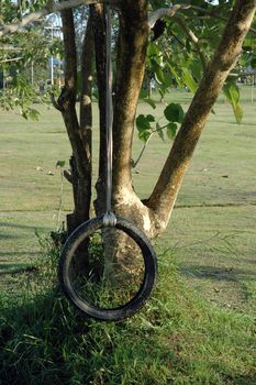 swing made from tires depends upon a tree
