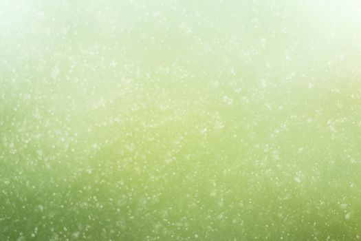 Green spring background