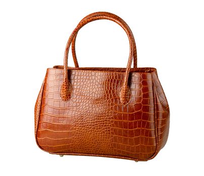 Nice brown crocodile leather woman's handbag isolated, 
