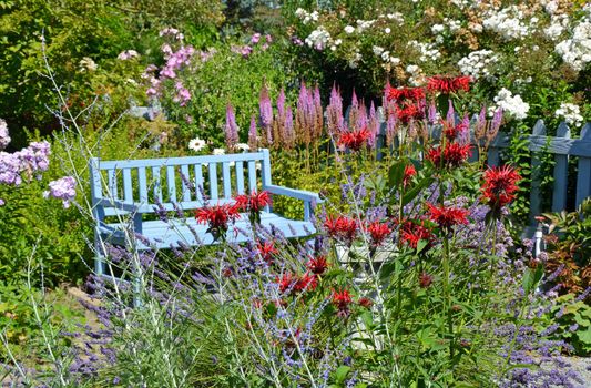 Blue wooden bench in garden background 