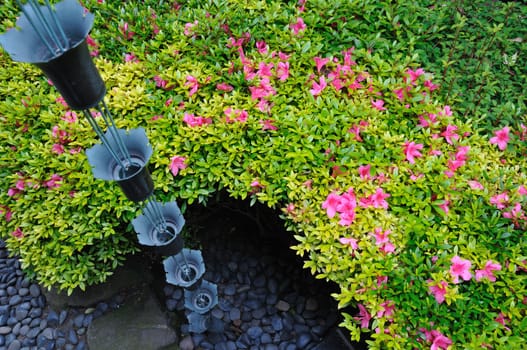 blossom azalea flowers around hanged up traditional metallic bells used for rain waters way-out in japanese zen garden